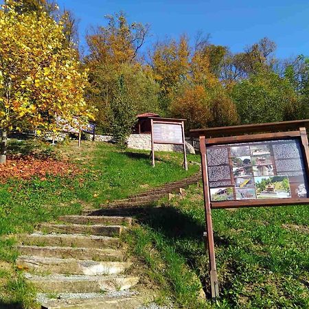 Vila Trnoruzica Tuhelj Buitenkant foto