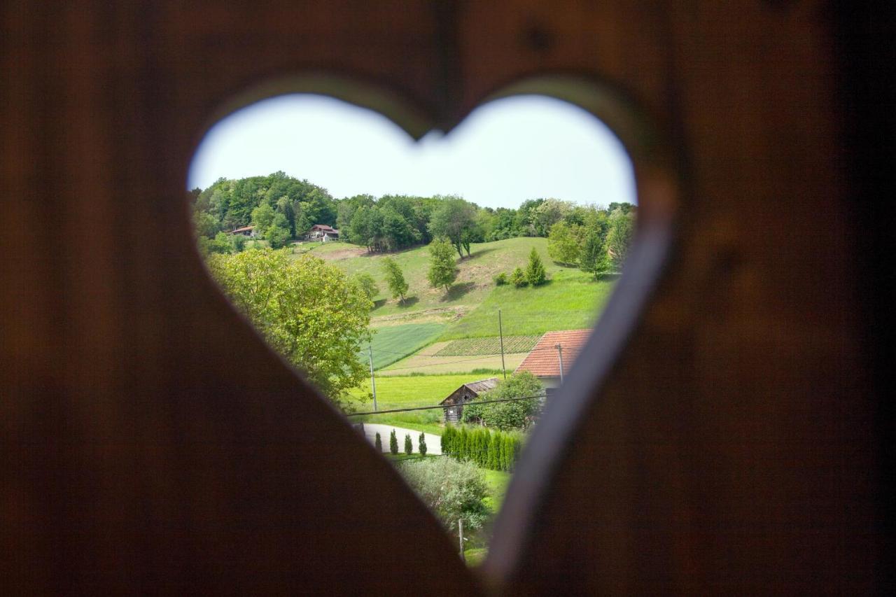 Vila Trnoruzica Tuhelj Buitenkant foto