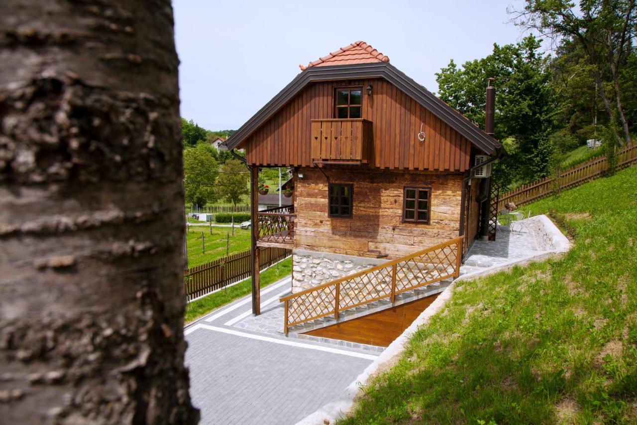 Vila Trnoruzica Tuhelj Buitenkant foto