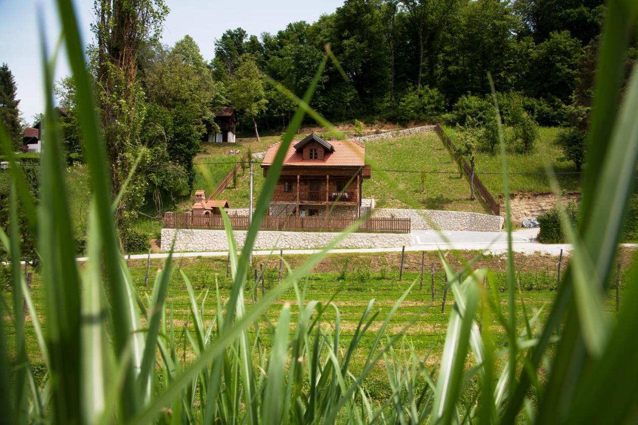 Vila Trnoruzica Tuhelj Buitenkant foto