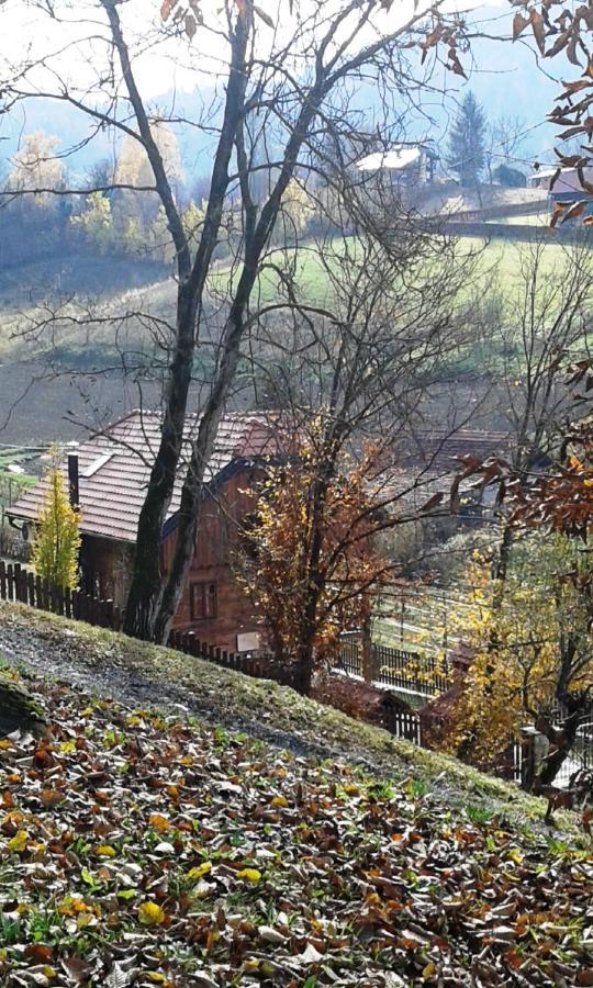 Vila Trnoruzica Tuhelj Buitenkant foto