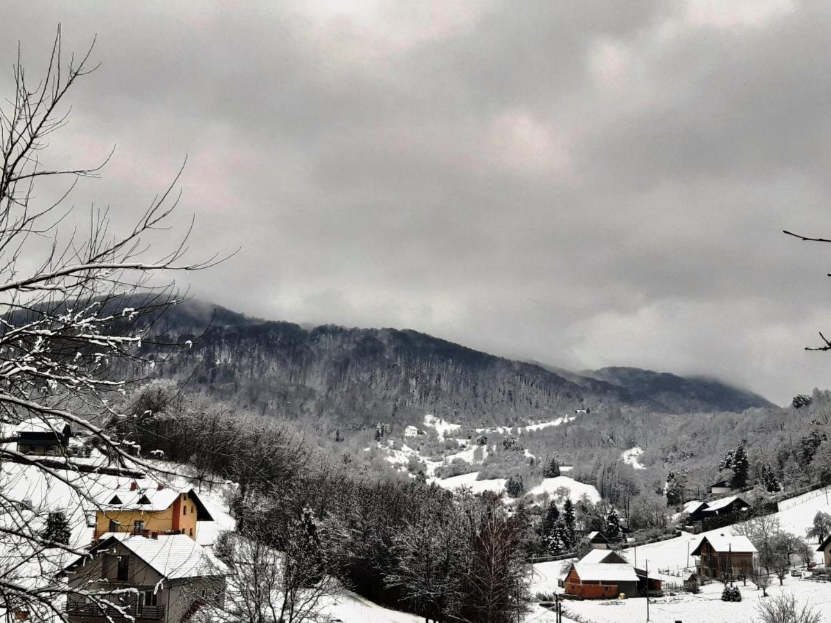Vila Trnoruzica Tuhelj Buitenkant foto